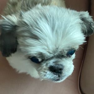 Meet your Posher, Dana